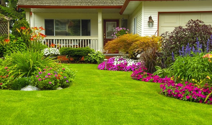 Home Garden Design: Cultivating Your Personal Oasis